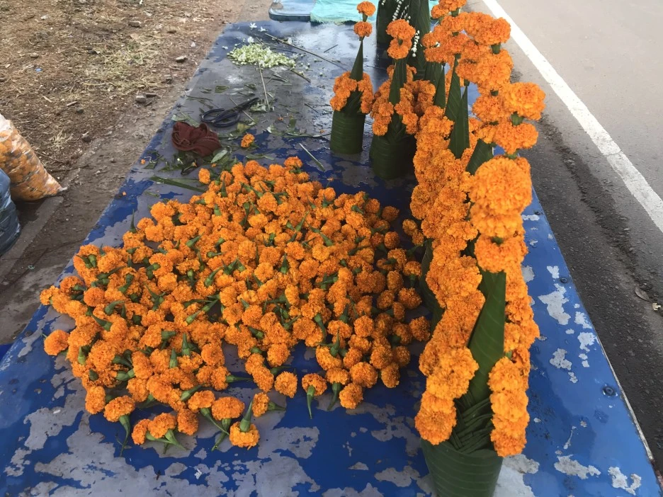 IMG_3771.JPG?type=w1