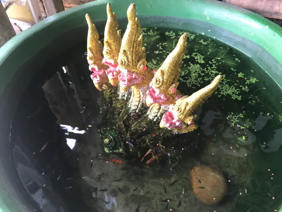 IMG_3784.JPG?type=w1