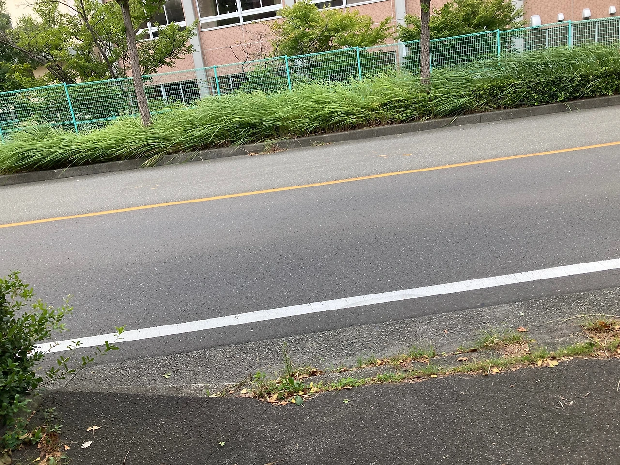 KakaoTalk_Photo_2024-09-25-22-40-50 001.jpeg