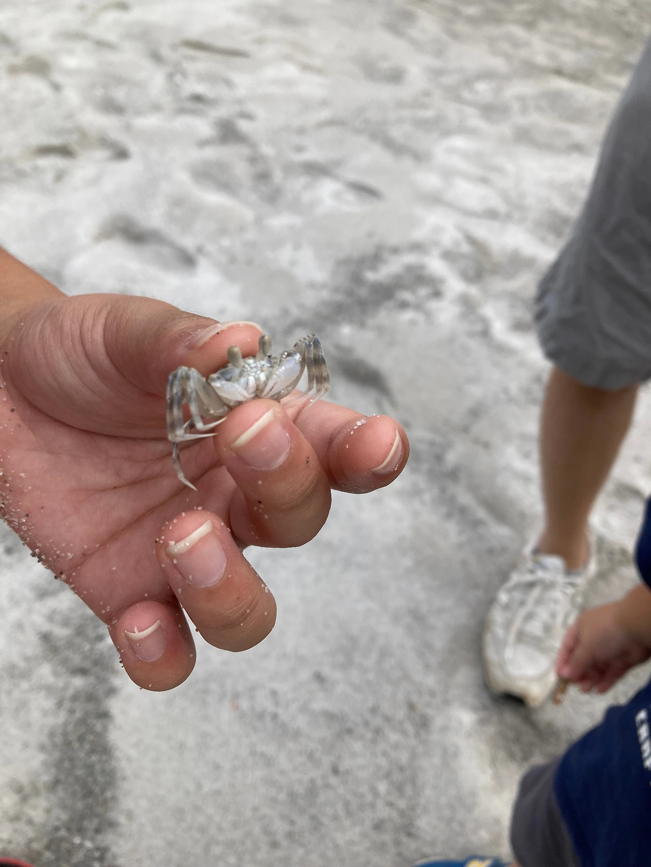 KakaoTalk_Photo_2024-10-01-12-03-05 005.jpeg