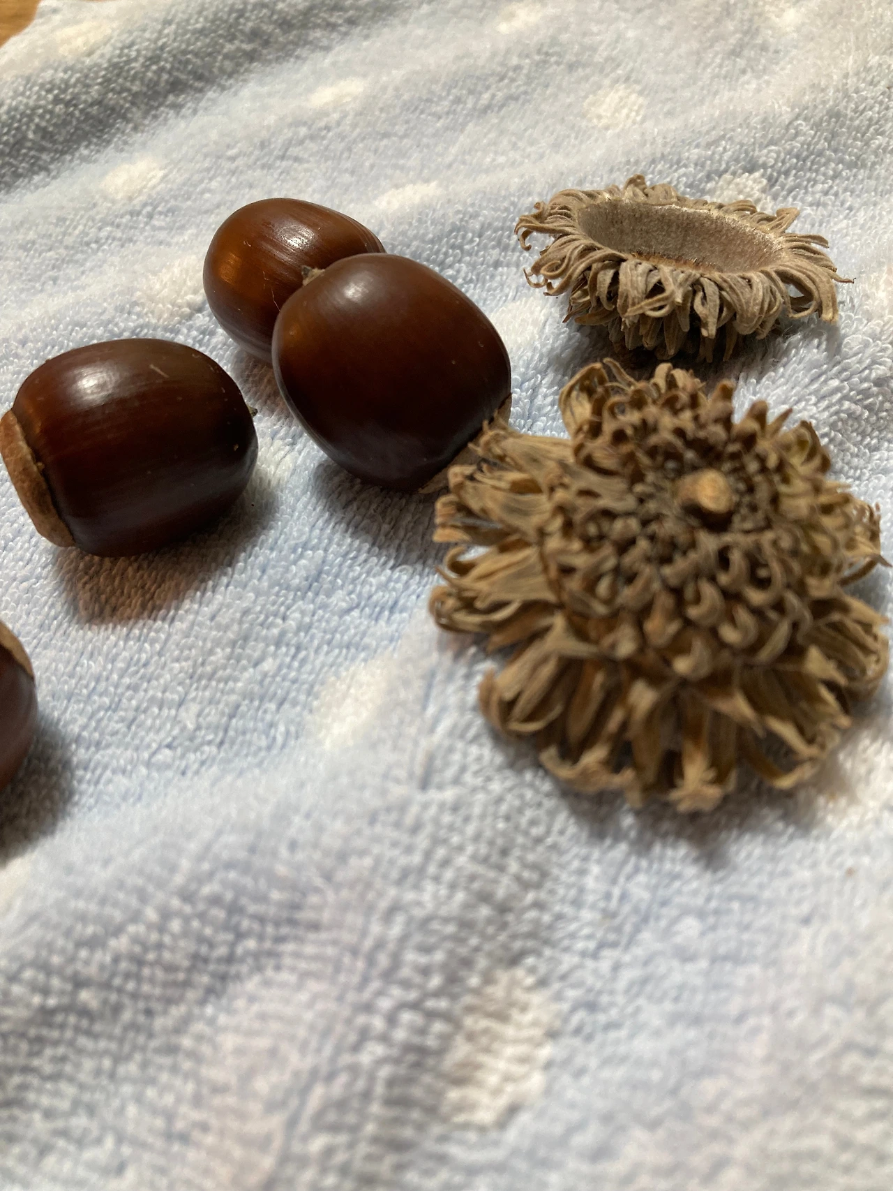 KakaoTalk_Photo_2024-09-24-21-51-29 001.jpeg