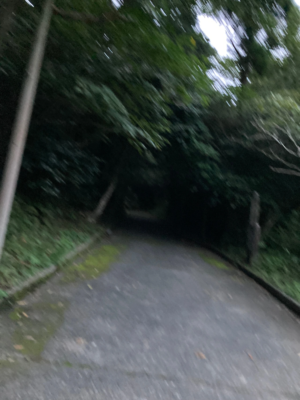 KakaoTalk_Photo_2024-10-01-12-11-20 003.jpeg