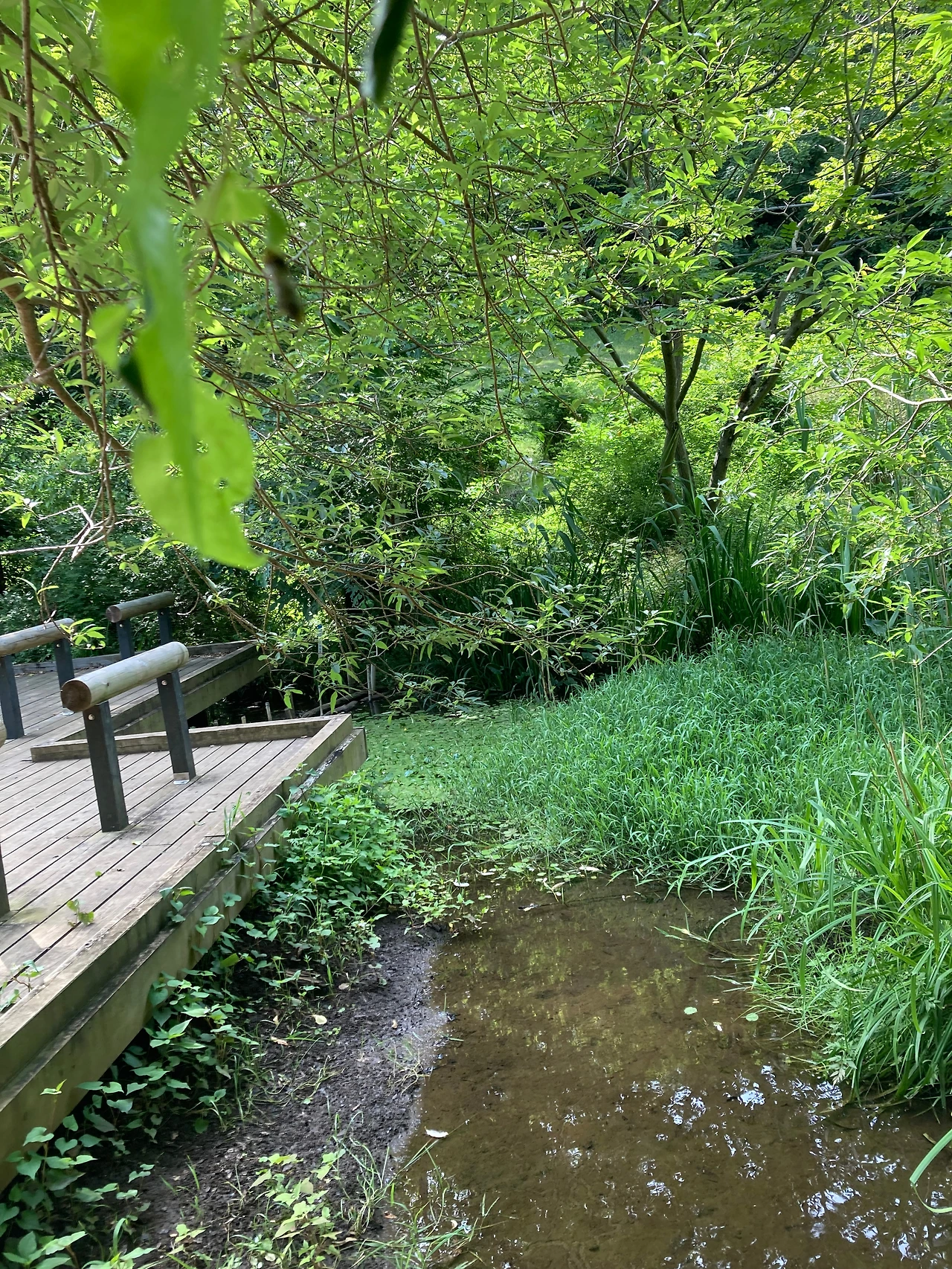 KakaoTalk_Photo_2024-08-19-19-21-38 001.jpeg