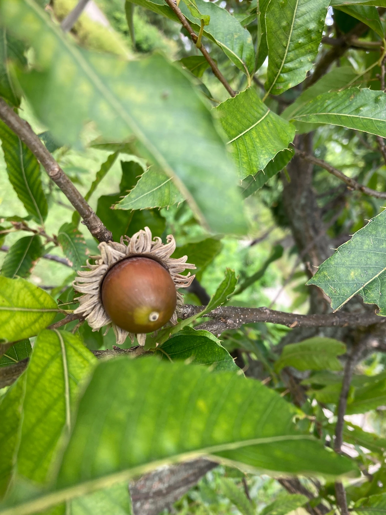 KakaoTalk_Photo_2024-09-24-21-51-32 002.jpeg