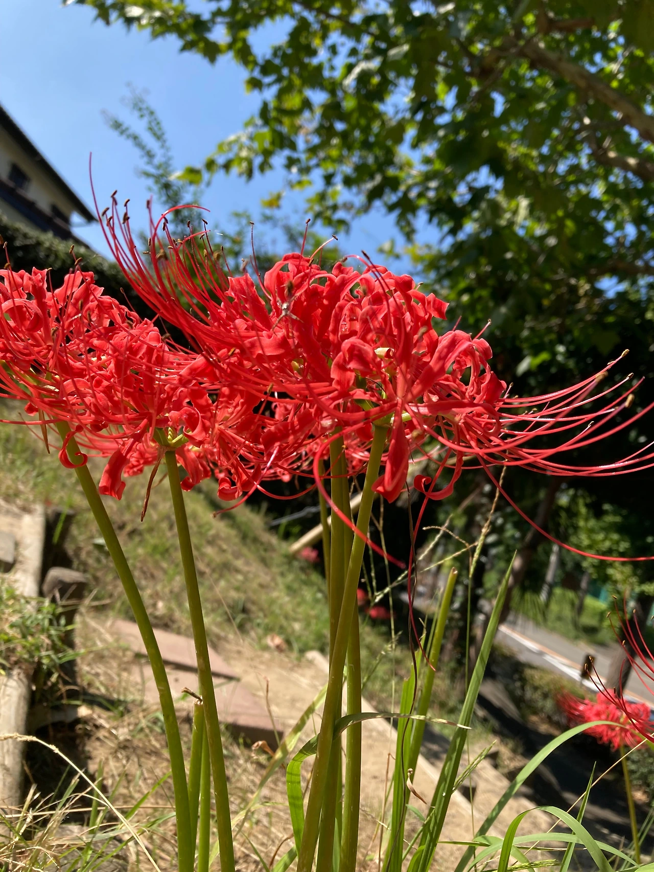 KakaoTalk_Photo_2024-10-02-19-05-46 004.jpeg