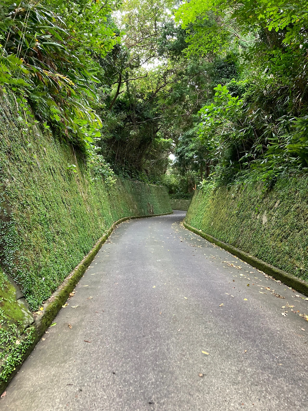 KakaoTalk_Photo_2024-10-01-12-03-01 002.jpeg