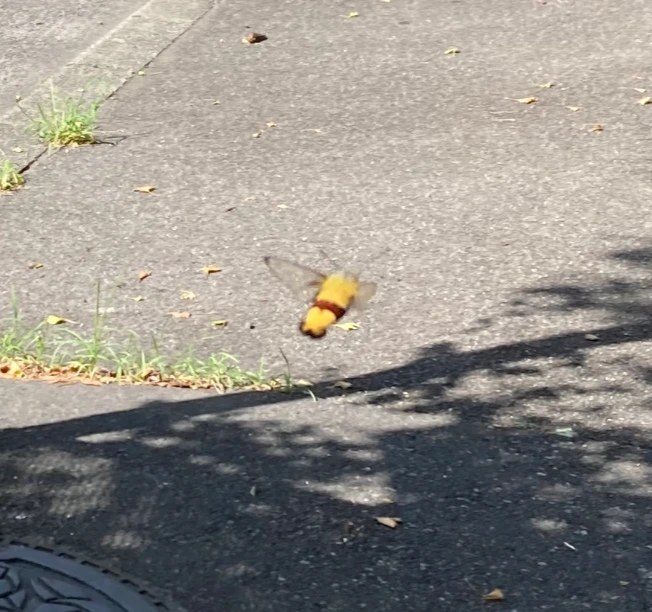 KakaoTalk_Photo_2024-09-05-15-01-48 004.jpeg