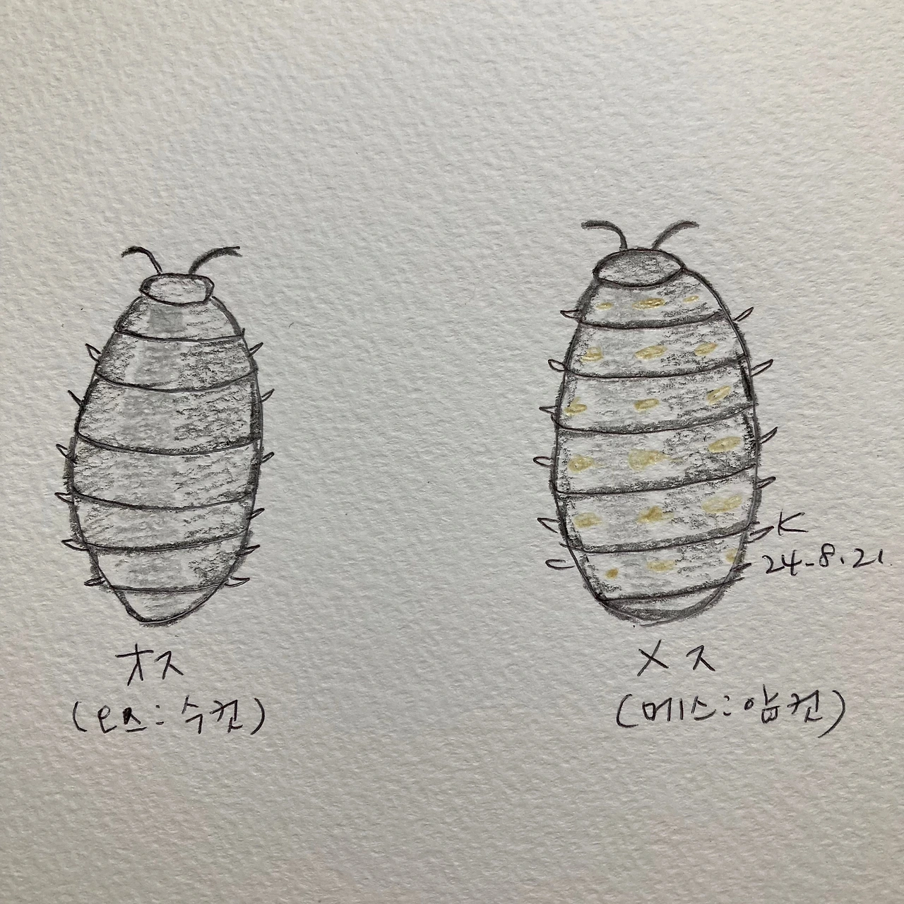 KakaoTalk_Photo_2024-08-21-23-27-58 003.jpeg