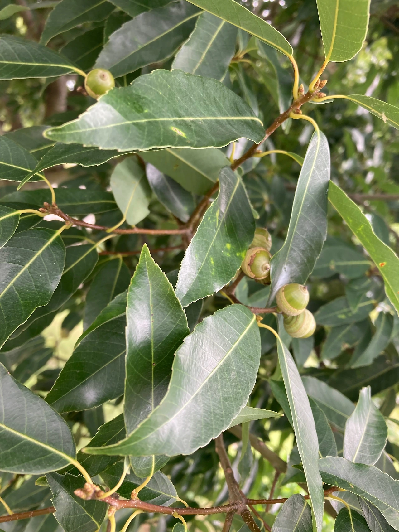 KakaoTalk_Photo_2024-09-24-21-51-33 003.jpeg