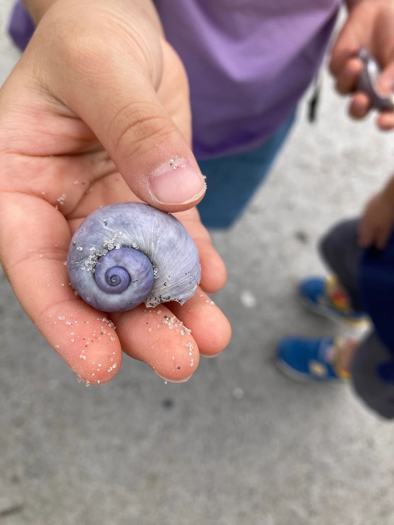 KakaoTalk_Photo_2024-10-01-12-03-01 003.jpeg