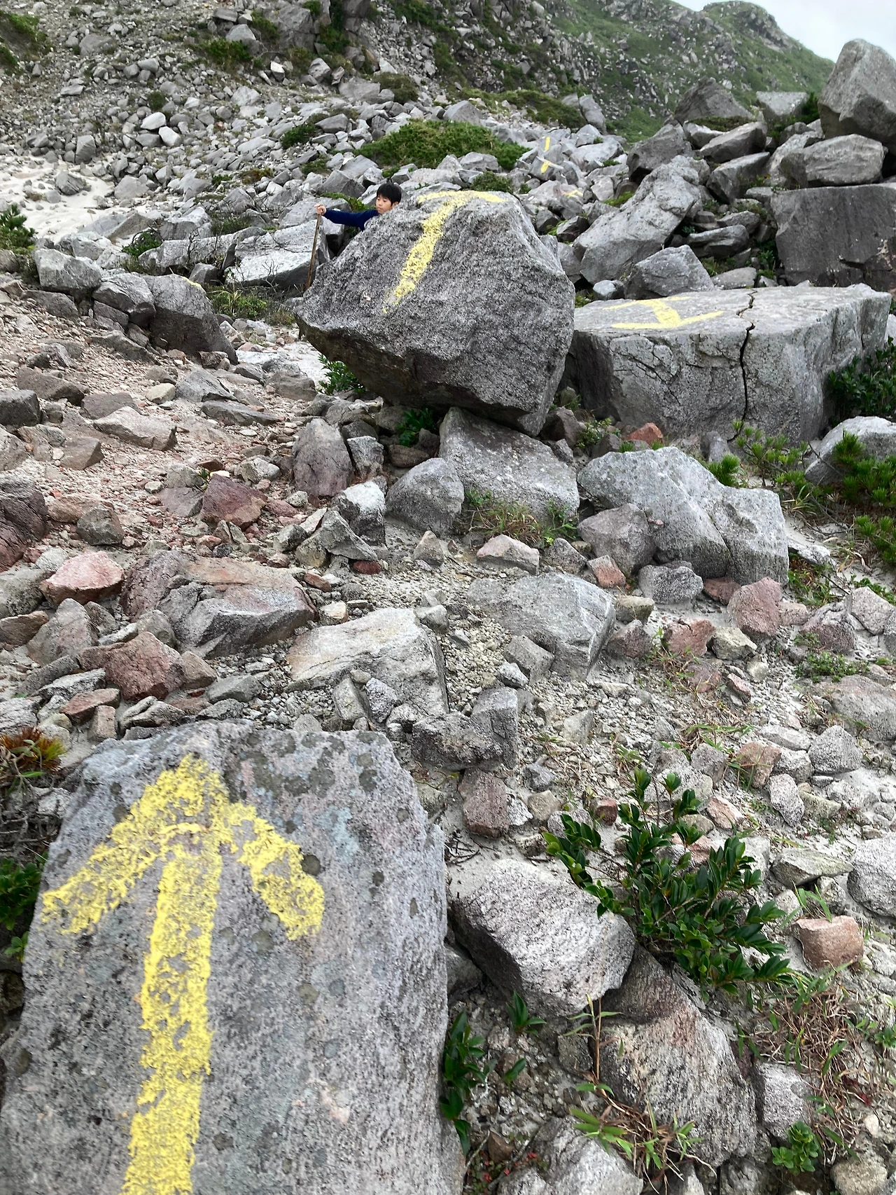 KakaoTalk_Photo_2024-10-01-12-11-23 006.jpeg