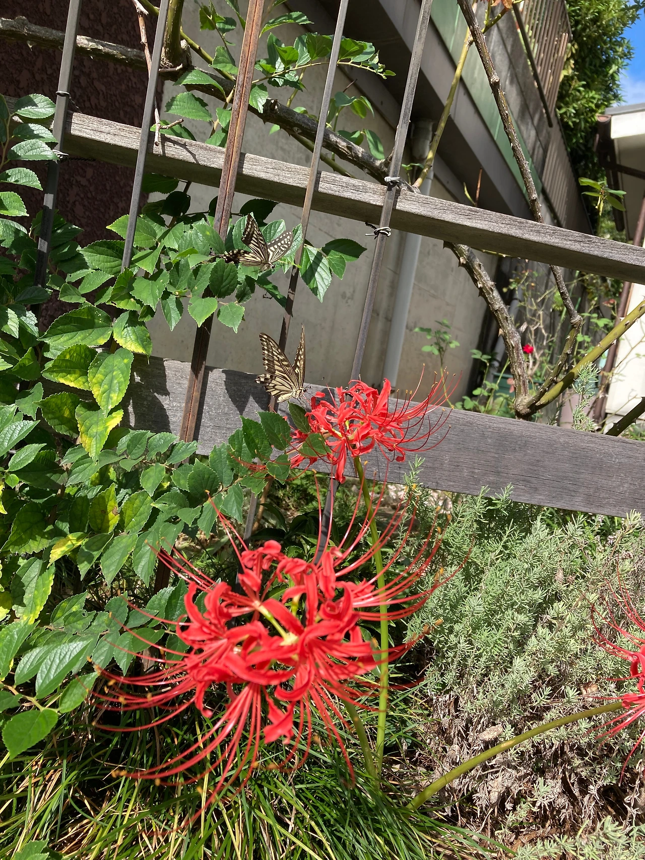 KakaoTalk_Photo_2024-10-07-18-54-01 002.jpeg