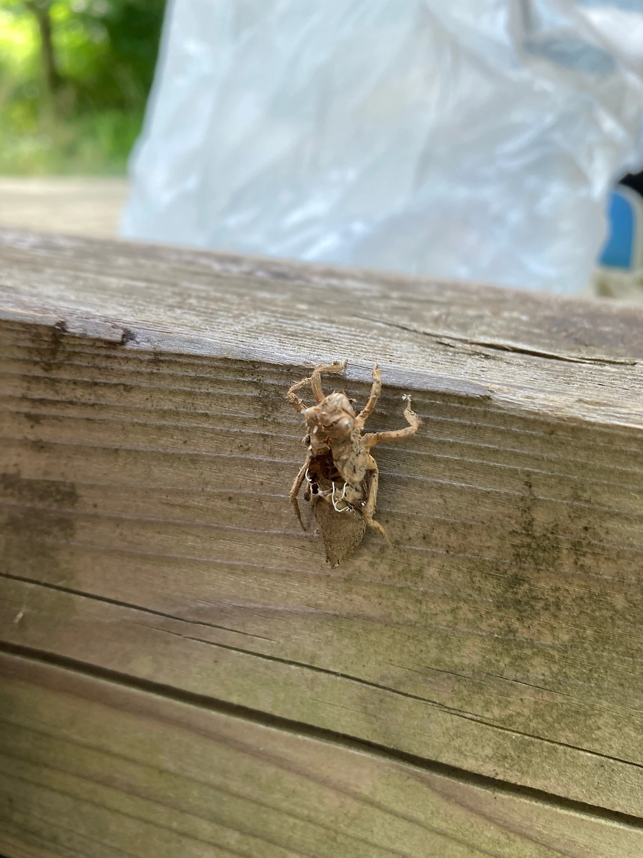 KakaoTalk_Photo_2024-08-19-19-21-38 004.jpeg