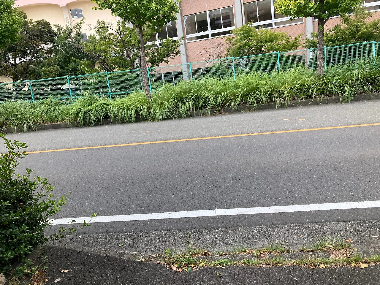 KakaoTalk_Photo_2024-09-25-22-41-00 003.jpeg