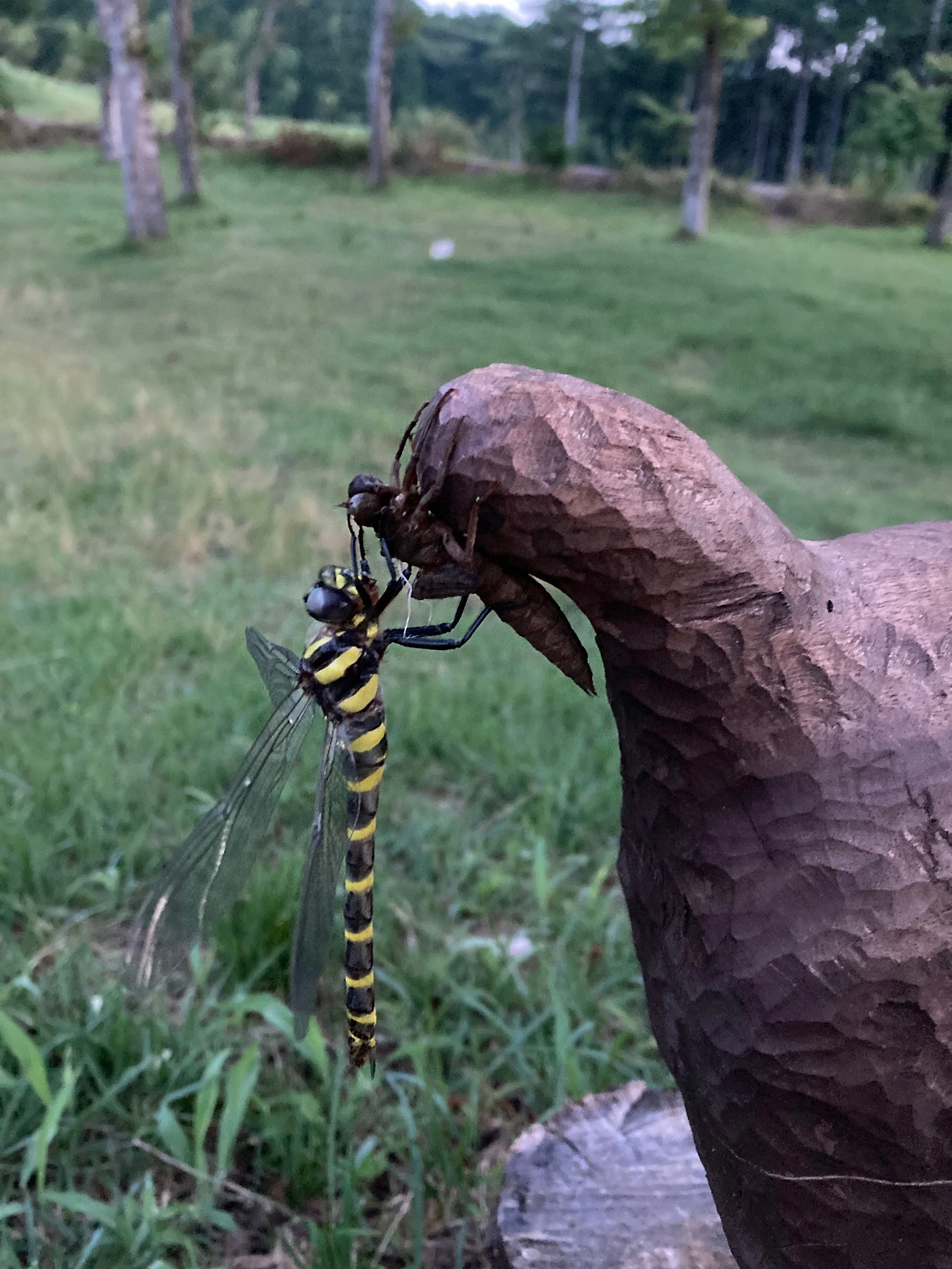 KakaoTalk_Photo_2024-08-19-19-21-58 001.jpeg