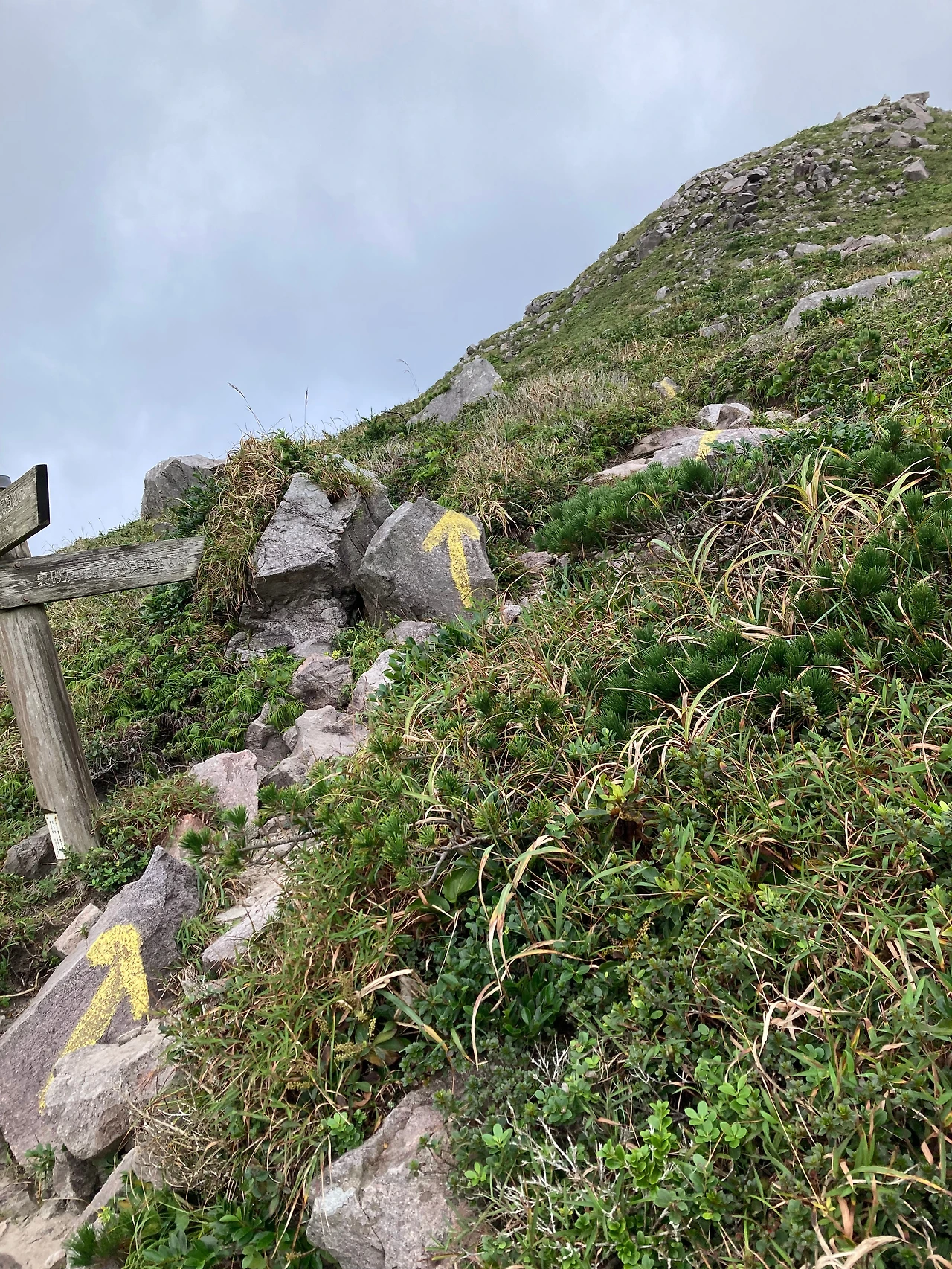 KakaoTalk_Photo_2024-10-01-12-11-25 008.jpeg