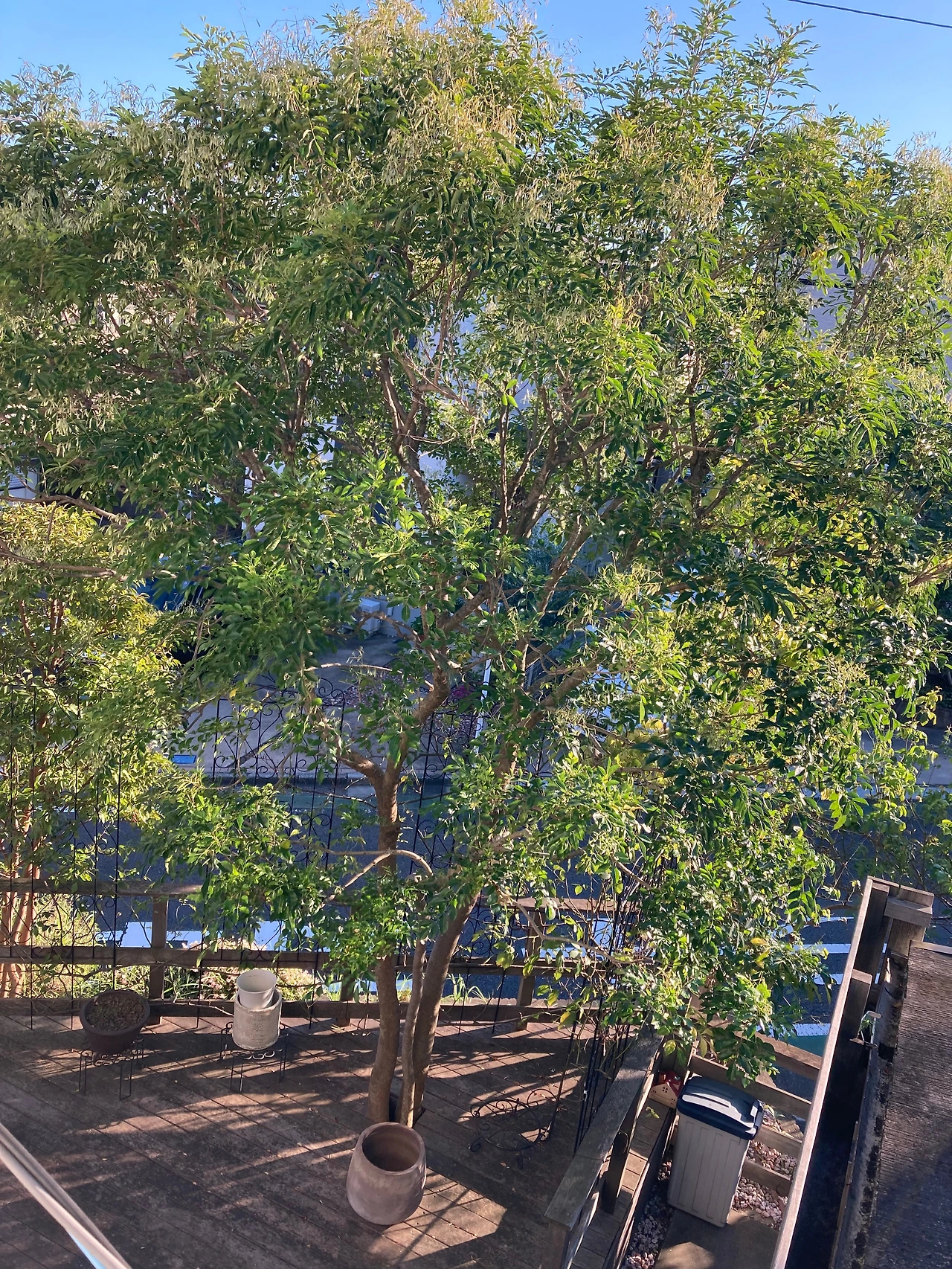 KakaoTalk_Photo_2024-09-13-22-56-55 002.jpeg