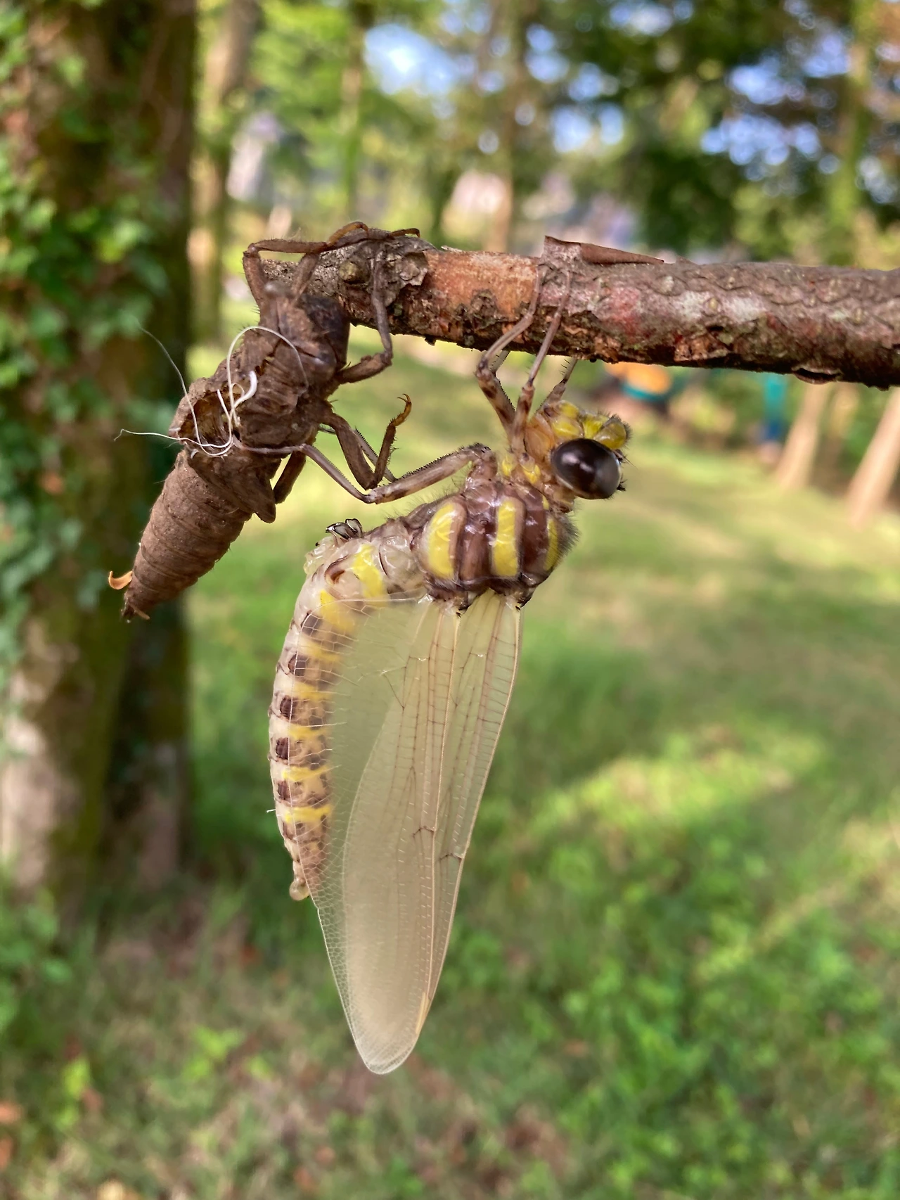 KakaoTalk_Photo_2024-08-19-19-22-04 009.jpeg