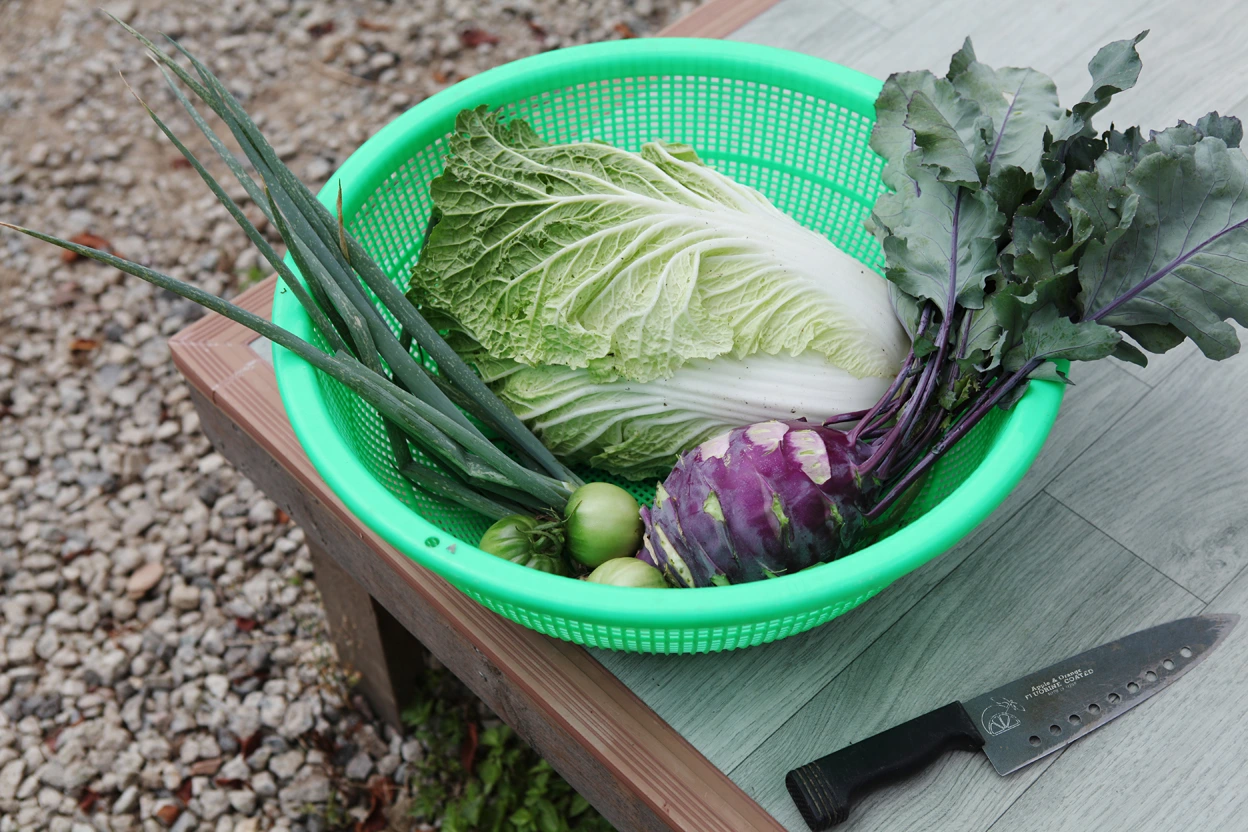 IMG_9108 - 복사본.jpg