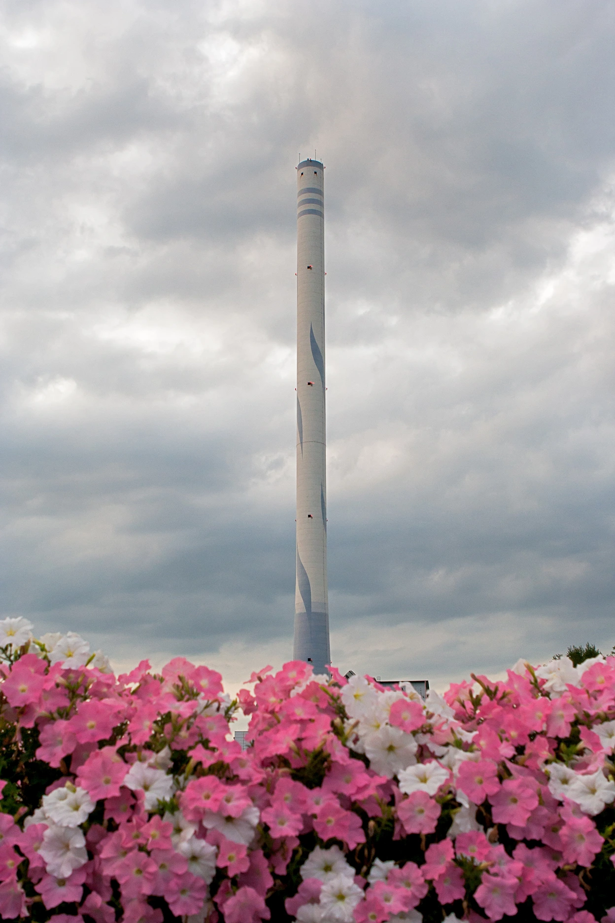 150929 어떤 어울림.jpg