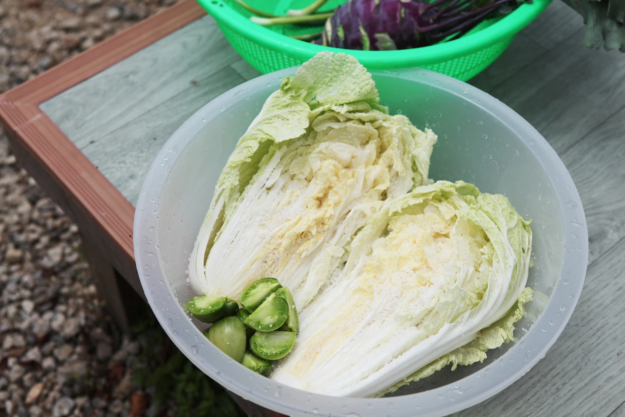 IMG_9109 - 복사본.jpg