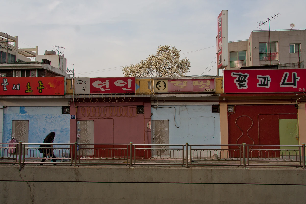 150814 어디에든 꽃은 핀다.jpg