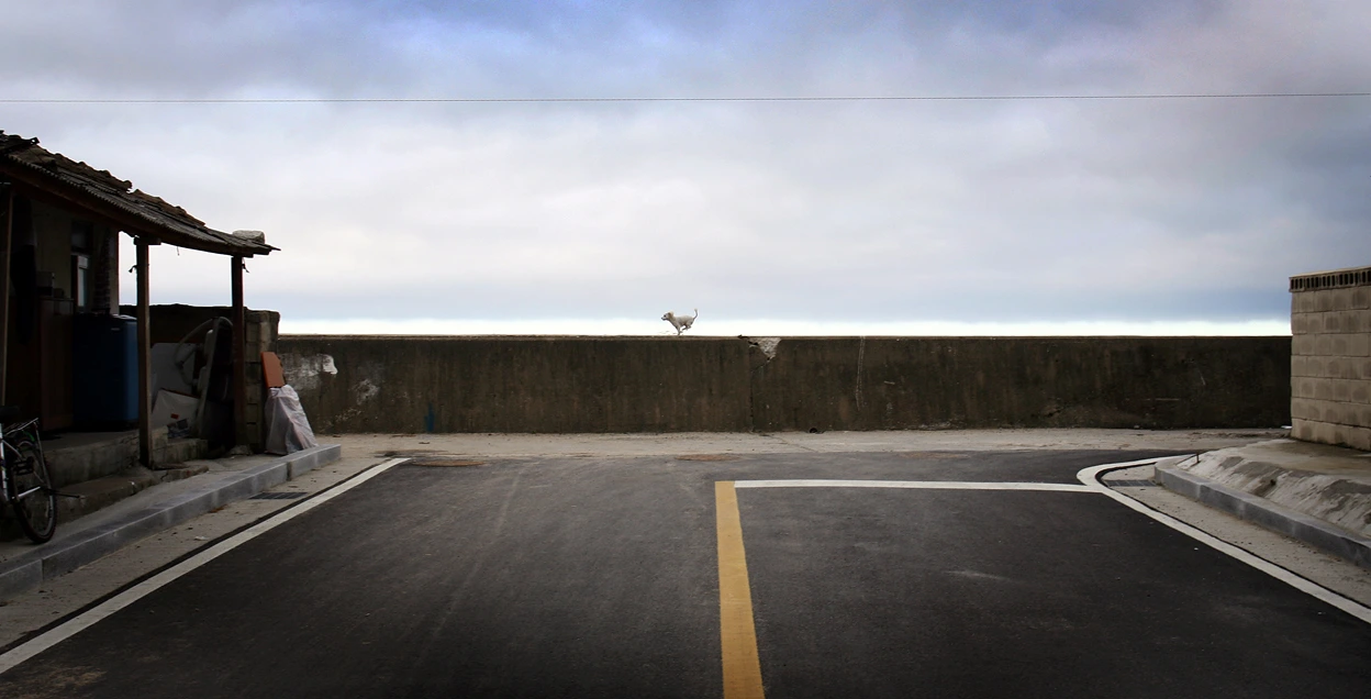 꿈을 향한 길.jpg