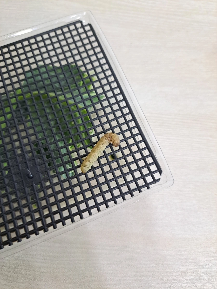 20220618%EF%BC%BF065705.jpg?type=w1