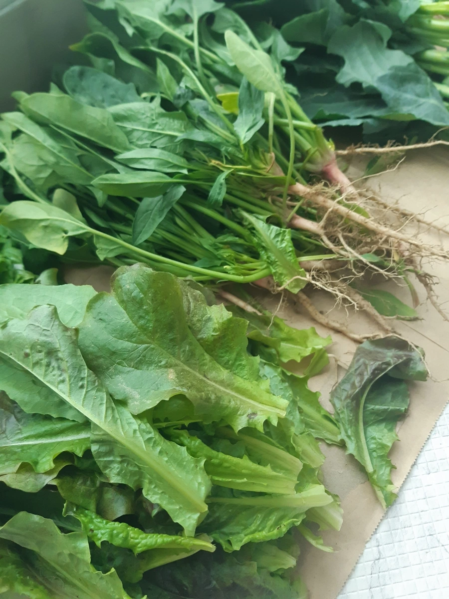 20220521%EF%BC%BF082039.jpg?type=w1