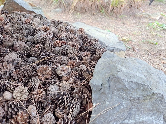 SE-16e26ea7-5a8d-11ed-bb79-6b1e4a51b743.jpg?type=w773