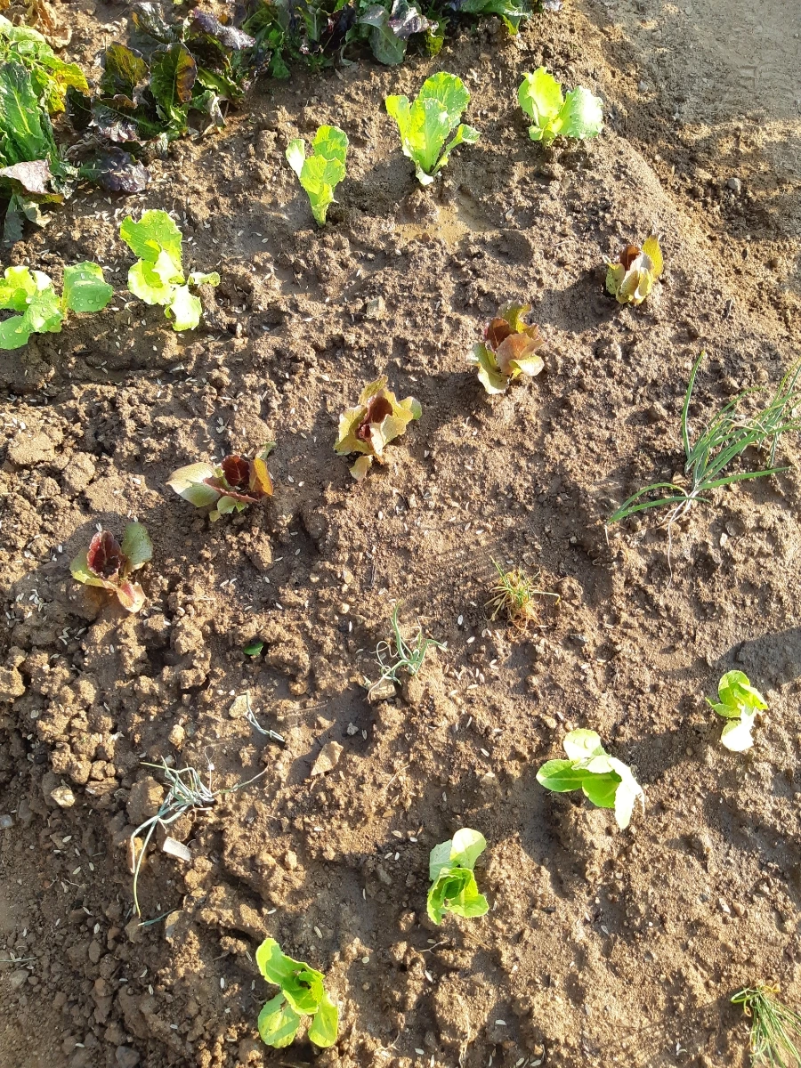 1654390063359.jpg?type=w1