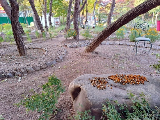 SE-16e26eab-5a8d-11ed-bb79-71cd25852841.jpg?type=w773