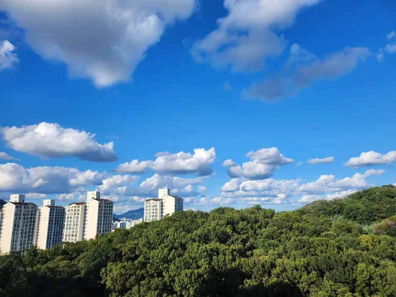 20240929_162245.jpg?type=w773