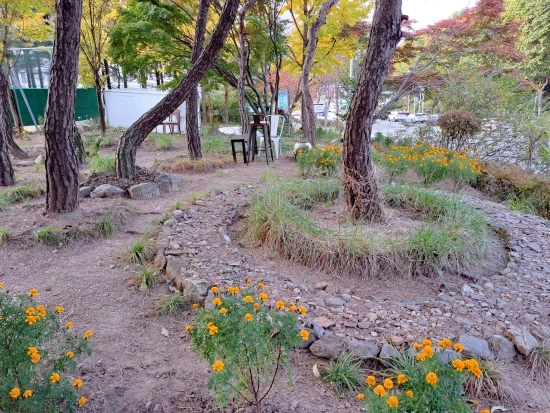 SE-16e26ea9-5a8d-11ed-bb79-c52a0d3fa17b.jpg?type=w773