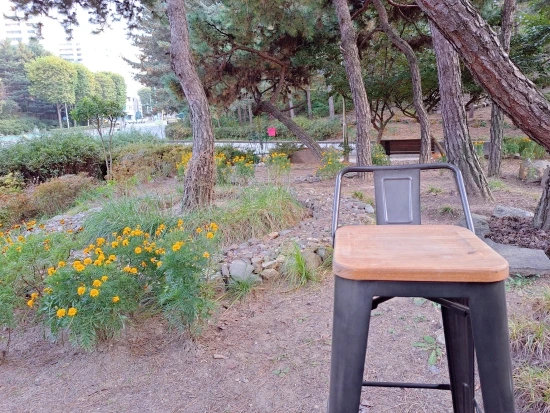 SE-16e26ea8-5a8d-11ed-bb79-1b6a33376320.jpg?type=w773