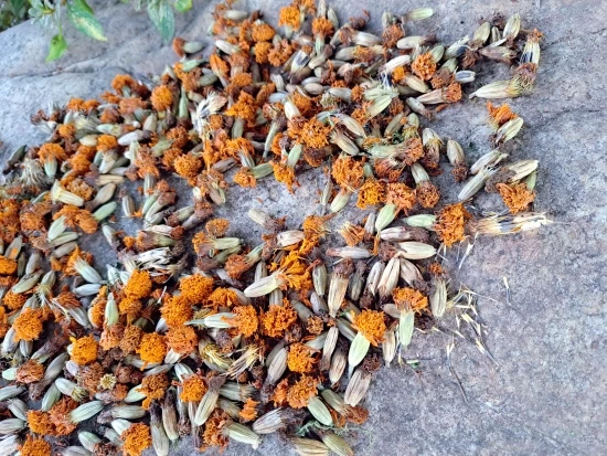 SE-16e26ea5-5a8d-11ed-bb79-07ff68f0f9c2.jpg?type=w773