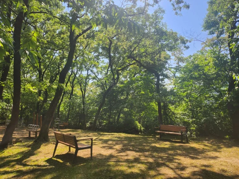 20240510_145202.jpg?type=w773