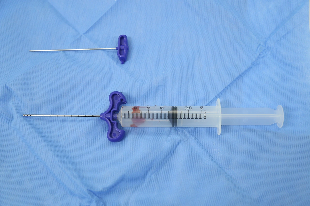 줄기세포 (7).JPG