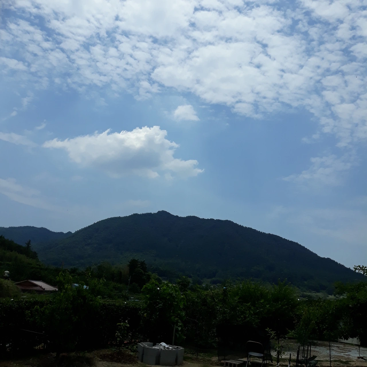 temp_1654917693656.-1397811960 (1).jpeg