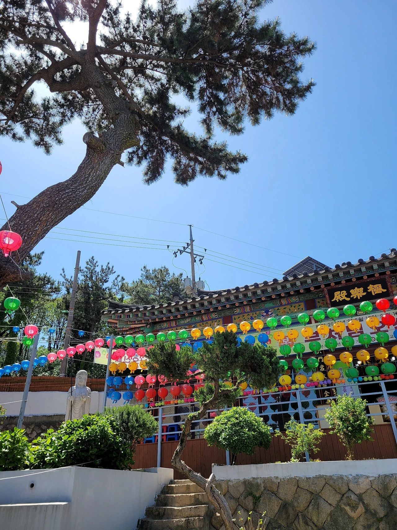 otZaaJDZqnuKpVLMTnmTuZbVQwA