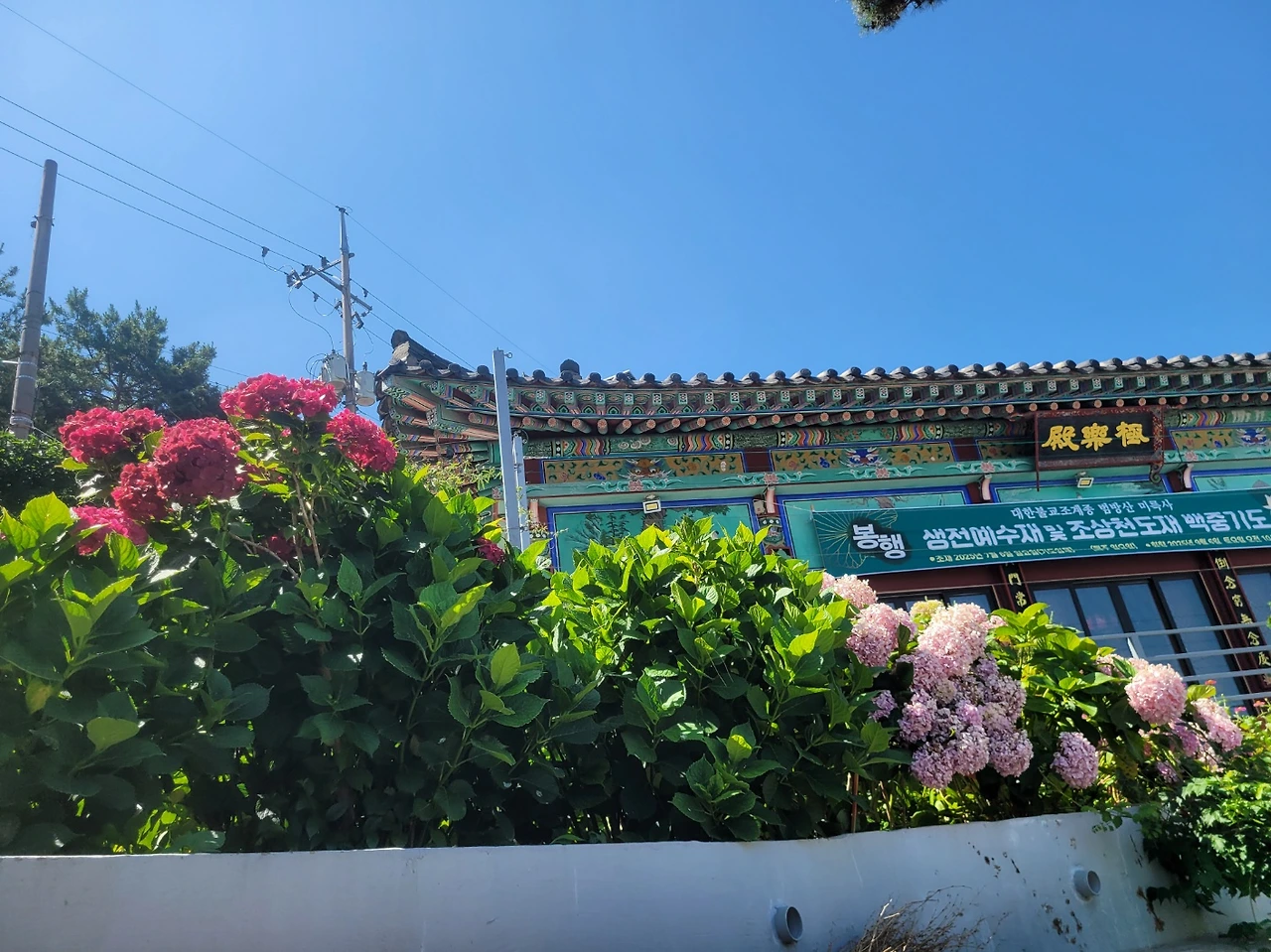 bwAakF4lmemswm4jpjj88N0vRgk