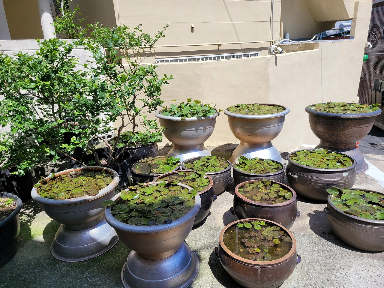 iVsx4ZiGQqENW87H80FbMmHn5Z8