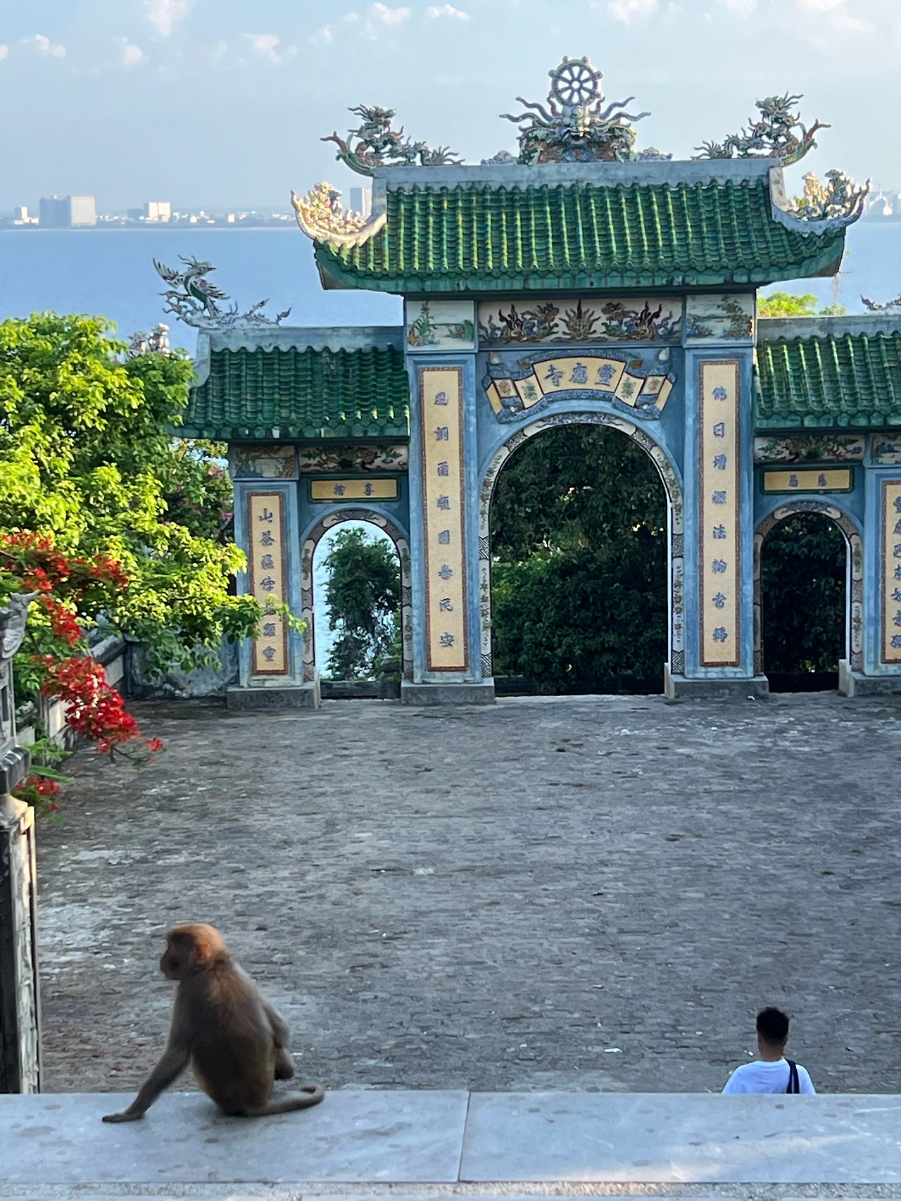 T0ketWQiR8Py_3ArPbeysGOaJcw