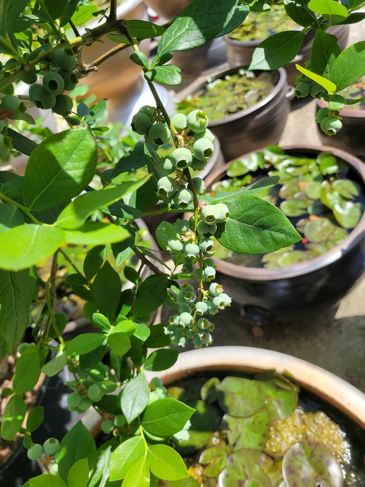 eBZcLJgR3n7-IB0AY3Z1WWAd3_A