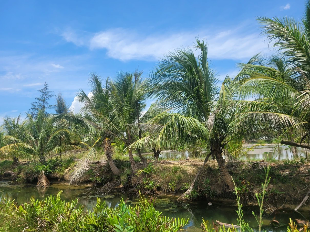 A6z0H_wnmno8a3kqHnKtesnK5lQ