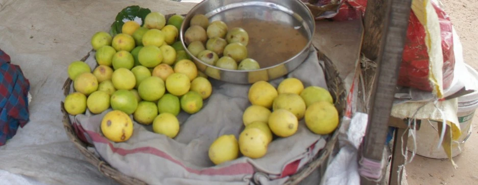 SE-974a0e55-49df-45af-86b7-73701d0e3725.jpg?type=w1