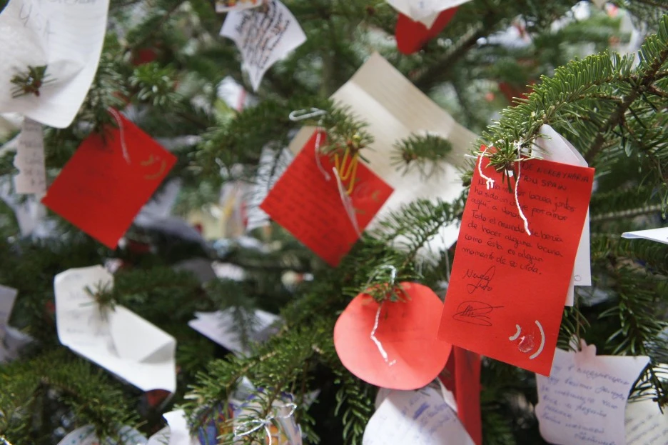 DSC06799.JPG?type=w1