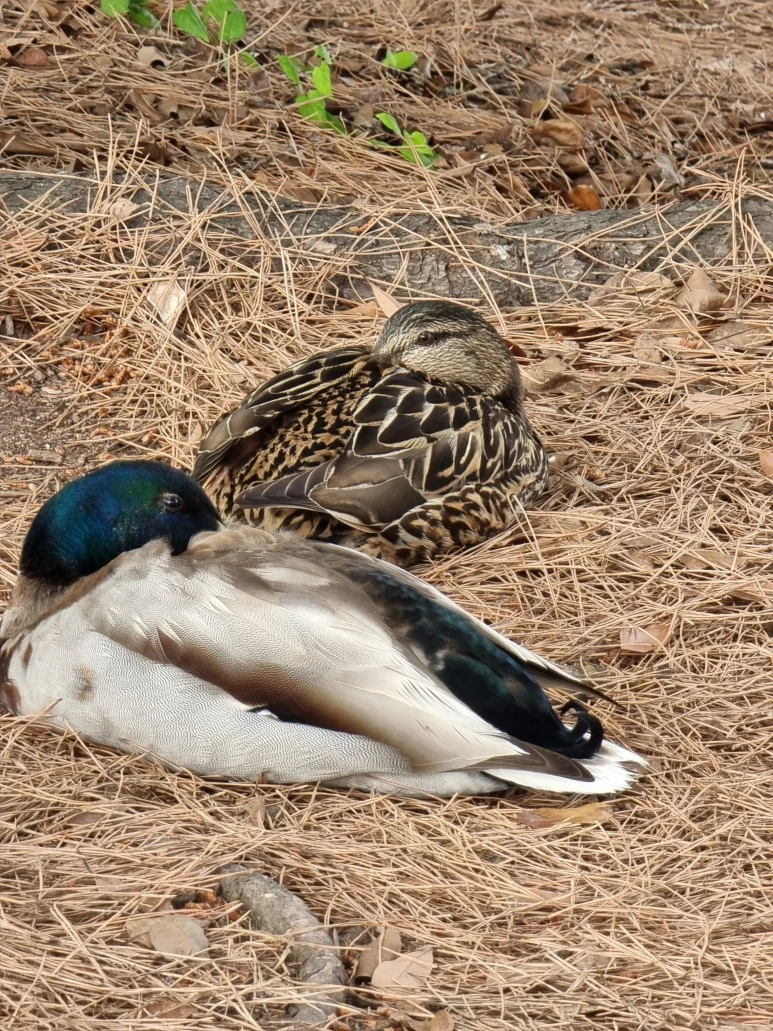 20230525_163117.jpg?type=w773