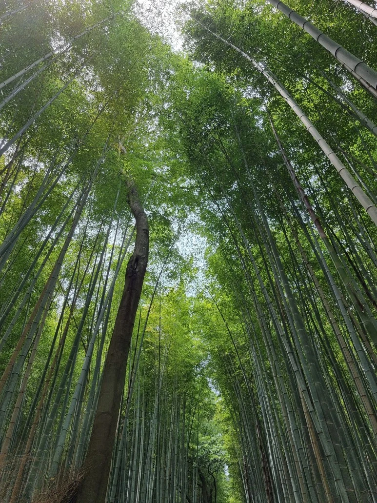 20230522_111754.jpg?type=w773