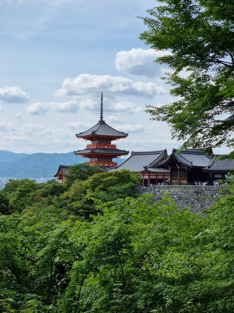 20230521_144257.jpg?type=w773